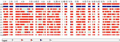 Development of bread wheat (Triticum aestivum L) variety HD3411 following marker-assisted backcross breeding for drought tolerance 